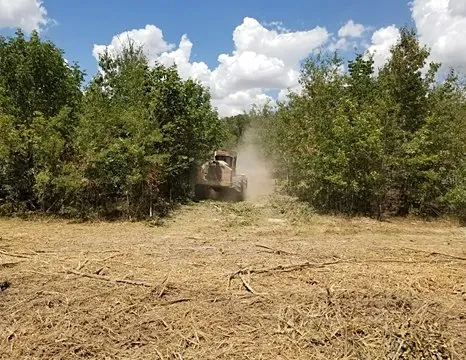 Acreage cleared and mulched flat, ready to be used