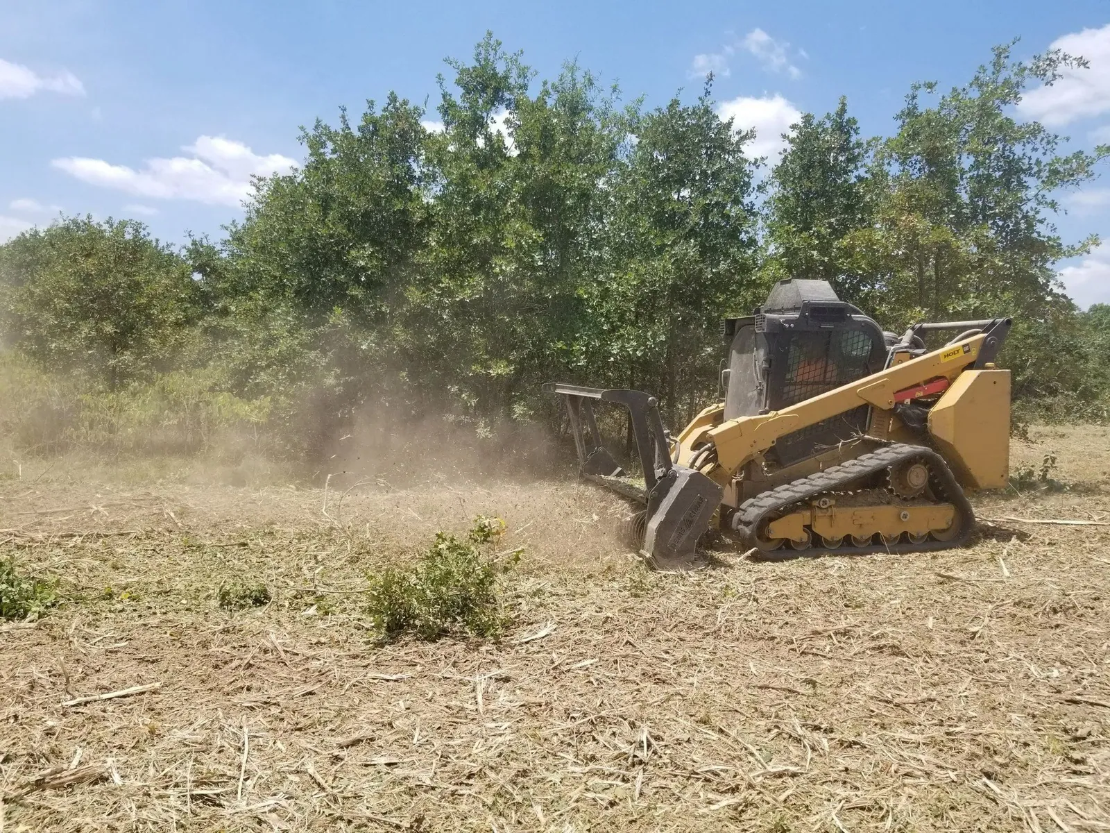 Tracked mulcher grinding standing brush, mulch thrown behind the head